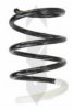 SPIDAN 86573 Coil Spring